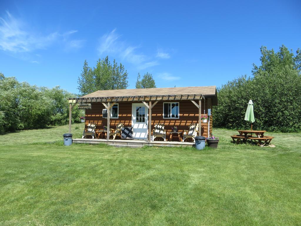 Orchard View Bed And Breakfast ムースジョー エクステリア 写真